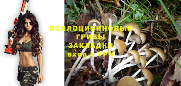 МДПВ Заволжье