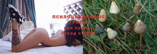 марихуана Лабытнанги