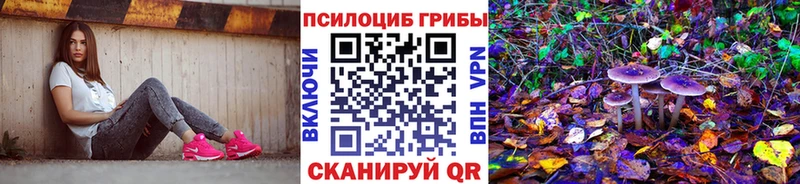 Псилоцибиновые грибы прущие грибы блэк спрут ТОР Мурманск купить наркоту